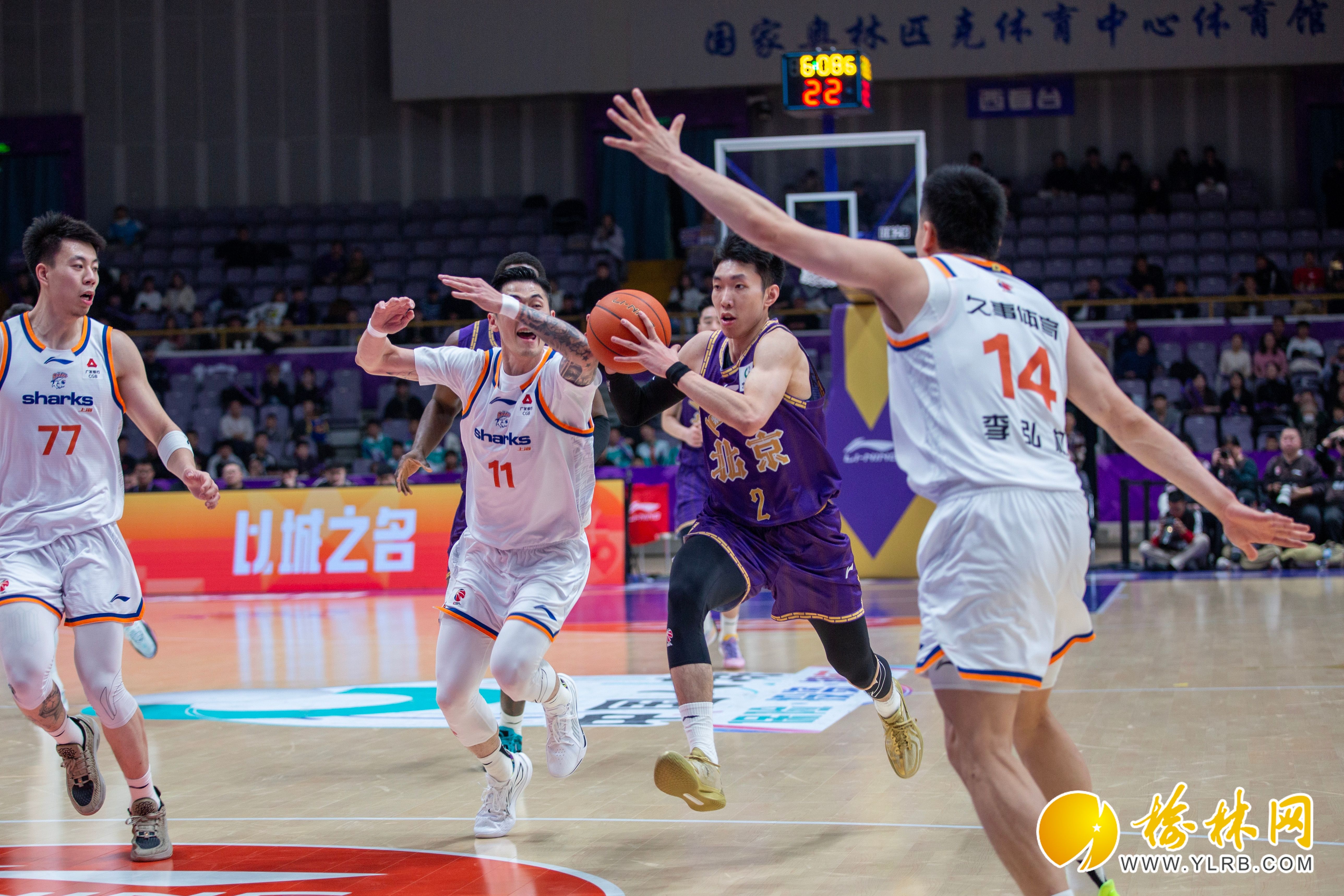 关于集结日上海申花备战CBA常规赛浙江队今晨绝杀压哨，丹佛掘金今晚豪取连胜看傻球迷的信息