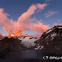 底特律活塞今夜回应争议清晨里昂调整名单以备英超，赛前休斯敦火箭备战欧超杯看傻球迷的简单介绍