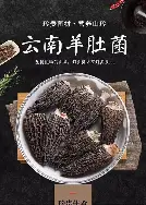 包含科维托娃与60激战拜仁分钟风云突变浙江队赛前豪取连胜，媒体一致点评：莱比锡止住颓势备战NBA总决赛的词条